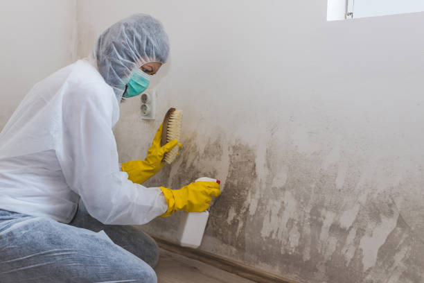 Best Crawl Space Mold Removal  in Forsyth, GA