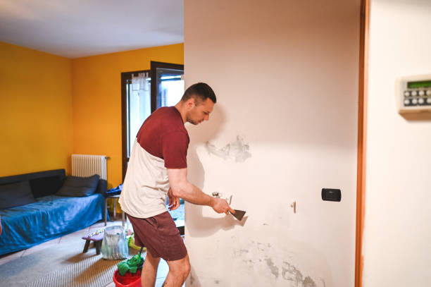 Best Professional Mold Removal  in Forsyth, GA