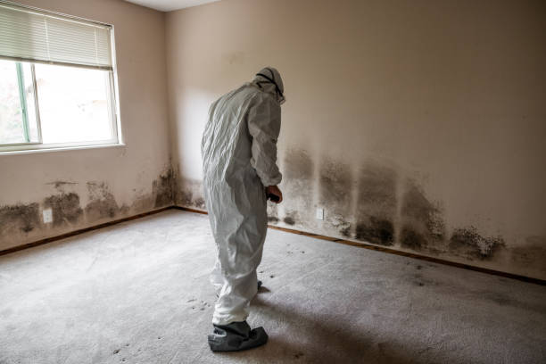 Best Emergency Mold Removal  in Forsyth, GA